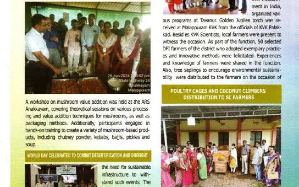 News letter 2024-2